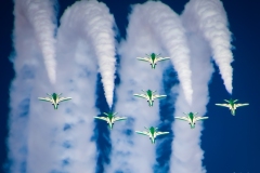 Saudi Falcons (1) 2019