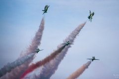 Saudi Falcons (4) 2019