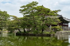 Gyeongbokgung Palace Seoul 2023