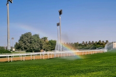 Rainbow in the Sun (2) Abu Dhabi Equestrian Club 2022