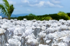 10000 Roses Mactan Island