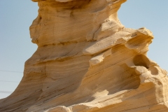 Al Wathba Fossil Dunes (2) 2021