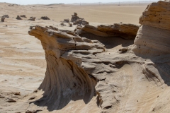 Al Wathba Fossil Dunes (3) 2021