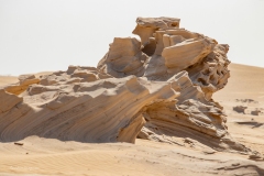 Al Wathba Fossil Dunes 2021