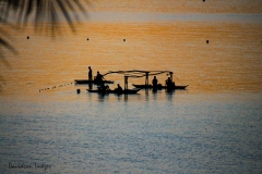 0011-Fishing-at-Sunset-Alcoy-Cebu-Philippines-Feb-2018